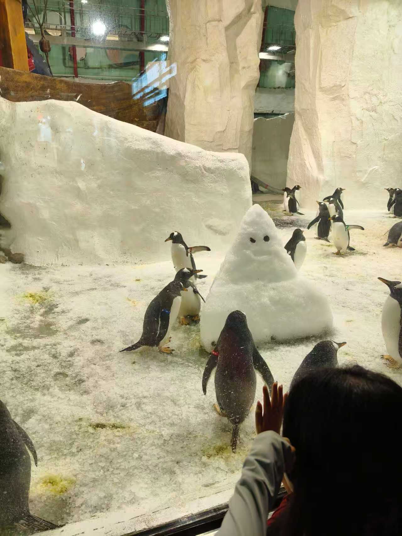 Day3 大连 圣亚和星海广场